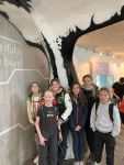 schoenbrunn 005